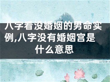 八字看没婚姻的男命实例,八字没有婚姻宫是什么意思
