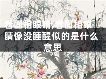 看面相眼睛,看面相眼睛像没睡醒似的是什么意思