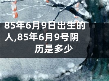 85年6月9日出生的人,85年6月9号阴历是多少