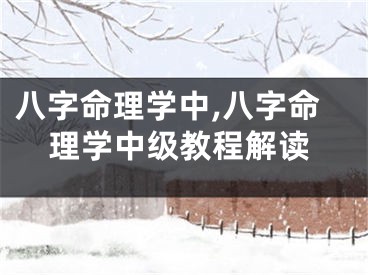 八字命理学中,八字命理学中级教程解读