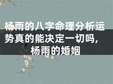 杨雨的八字命理分析运势真的能决定一切吗,杨雨的婚姻