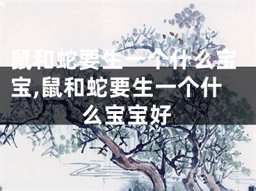 鼠和蛇要生一个什么宝宝,鼠和蛇要生一个什么宝宝好