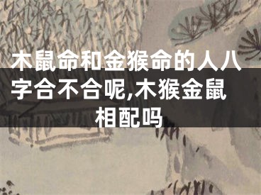 木鼠命和金猴命的人八字合不合呢,木猴金鼠相配吗