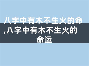 八字中有木不生火的命,八字中有木不生火的命运