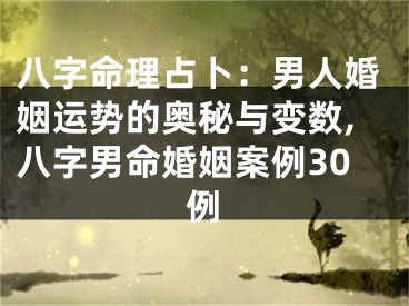 八字命理占卜：男人婚姻运势的奥秘与变数,八字男命婚姻案例30例