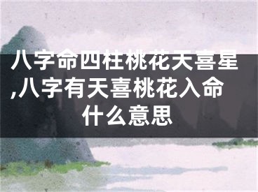 八字命四柱桃花天喜星,八字有天喜桃花入命什么意思