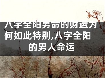 八字全阳男命的财运为何如此特别,八字全阳的男人命运