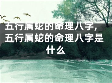 五行属蛇的命理八字,五行属蛇的命理八字是什么