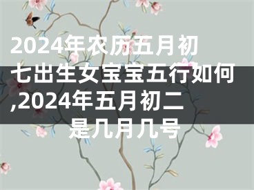 2024年农历五月初七出生女宝宝五行如何,2024年五月初二是几月几号