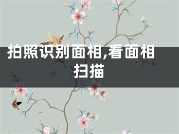 拍照识别面相,看面相扫描