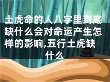 土虎命的人八字里到底缺什么会对命运产生怎样的影响,五行土虎缺什么