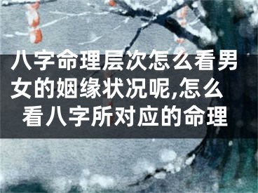 八字命理层次怎么看男女的姻缘状况呢,怎么看八字所对应的命理