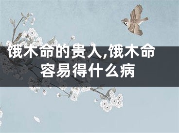 饿木命的贵人,饿木命容易得什么病