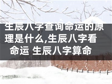 生辰八字查询命运的原理是什么,生辰八字看命运 生辰八字算命