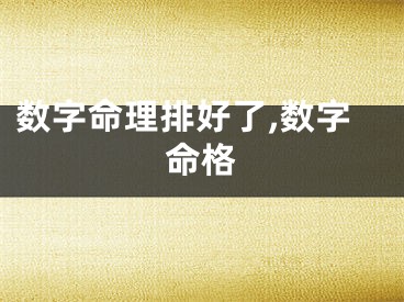 数字命理排好了,数字命格
