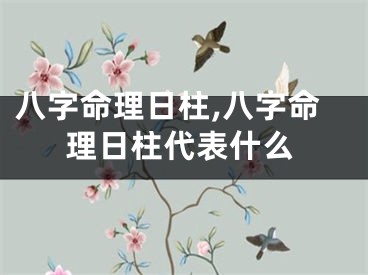 八字命理日柱,八字命理日柱代表什么