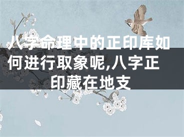 八字命理中的正印库如何进行取象呢,八字正印藏在地支