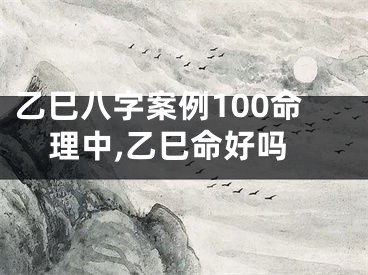 乙巳八字案例100命理中,乙巳命好吗