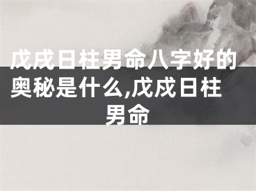 戊戌日柱男命八字好的奥秘是什么,戊戍日柱男命