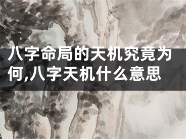 八字命局的天机究竟为何,八字天机什么意思