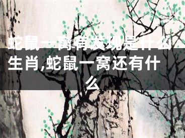 蛇鼠一窝有发现是什么生肖,蛇鼠一窝还有什么