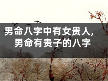 男命八字中有女贵人,男命有贵子的八字