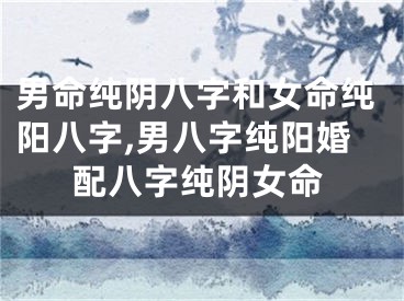 男命纯阴八字和女命纯阳八字,男八字纯阳婚配八字纯阴女命