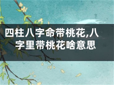 四柱八字命带桃花,八字里带桃花啥意思