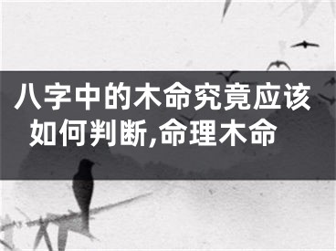 八字中的木命究竟应该如何判断,命理木命