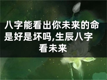 八字能看出你未来的命是好是坏吗,生辰八字看未来