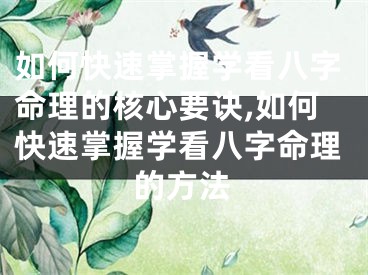 如何快速掌握学看八字命理的核心要诀,如何快速掌握学看八字命理的方法