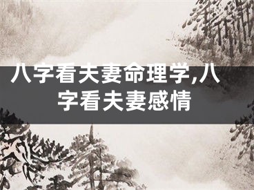 八字看夫妻命理学,八字看夫妻感情