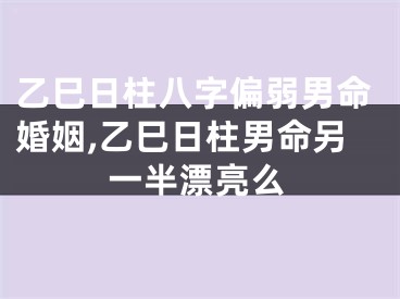 乙巳日柱八字偏弱男命婚姻,乙巳日柱男命另一半漂亮么