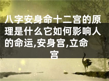 八字安身命十二宫的原理是什么它如何影响人的命运,安身宫,立命宫