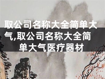 取公司名称大全简单大气,取公司名称大全简单大气医疗器材