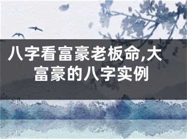八字看富豪老板命,大富豪的八字实例