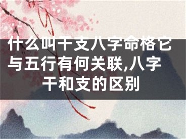 什么叫干支八字命格它与五行有何关联,八字干和支的区别