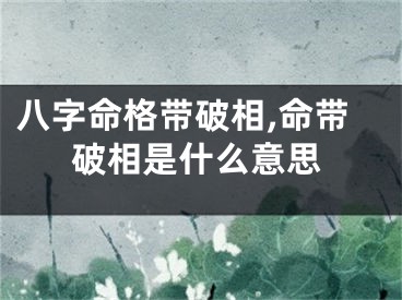 八字命格带破相,命带破相是什么意思