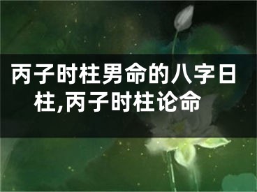 丙子时柱男命的八字日柱,丙子时柱论命