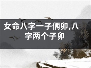 女命八字一子俩卯,八字两个子卯