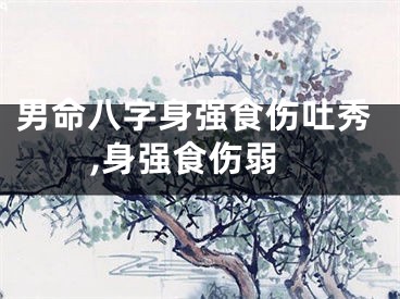 男命八字身强食伤吐秀,身强食伤弱