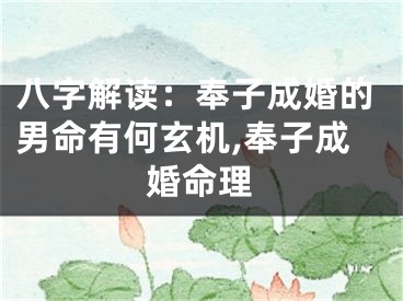 八字解读：奉子成婚的男命有何玄机,奉子成婚命理