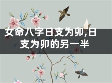 女命八字日支为卯,日支为卯的另一半