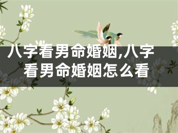 八字看男命婚姻,八字看男命婚姻怎么看