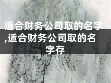 适合财务公司取的名字,适合财务公司取的名字存