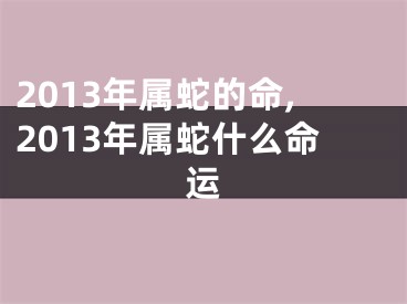 2013年属蛇的命,2013年属蛇什么命运