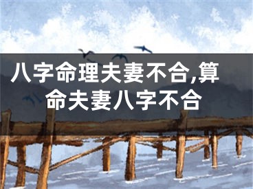 八字命理夫妻不合,算命夫妻八字不合