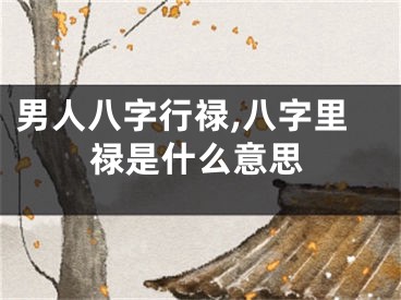 男人八字行禄,八字里禄是什么意思