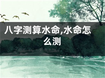 八字测算水命,水命怎么测
