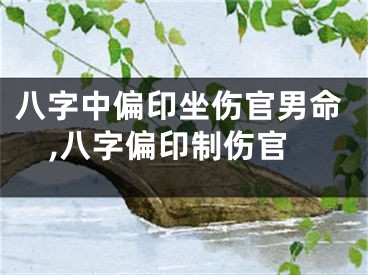 八字中偏印坐伤官男命,八字偏印制伤官